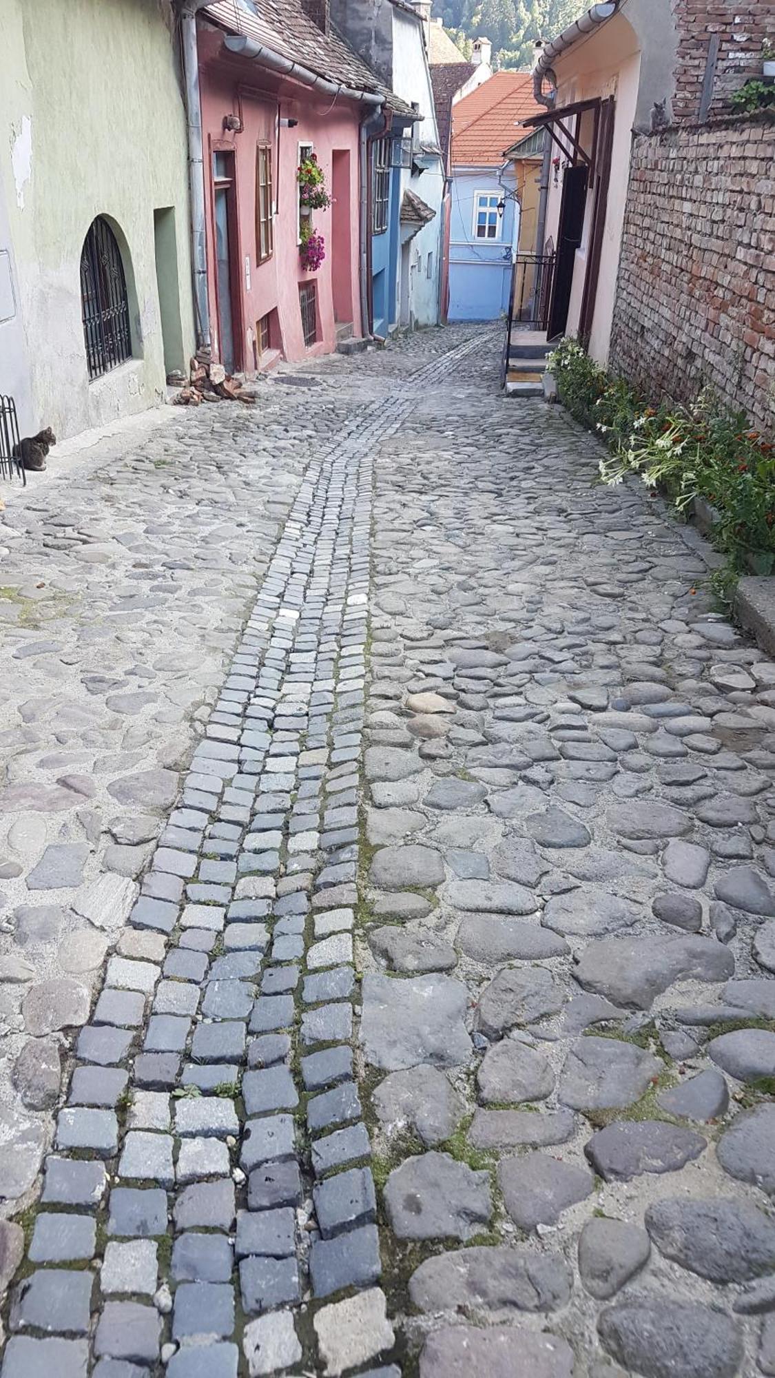 Stradela Cetății Apartment Sighişoara Exterior foto